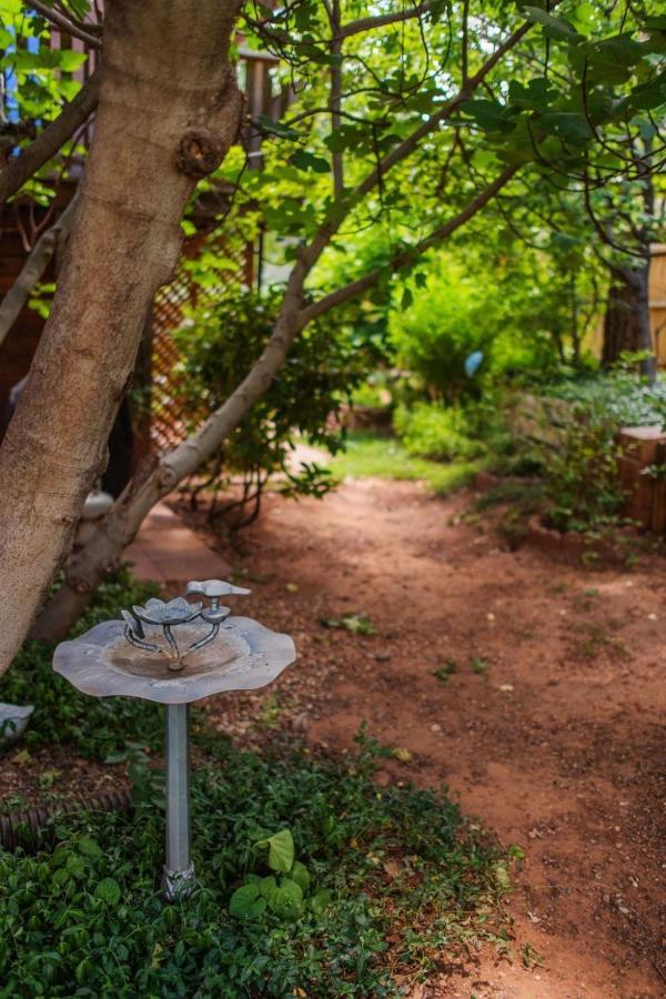 Canyon Wren Sedona Luaran gambar