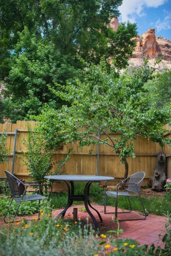 Canyon Wren Sedona Luaran gambar